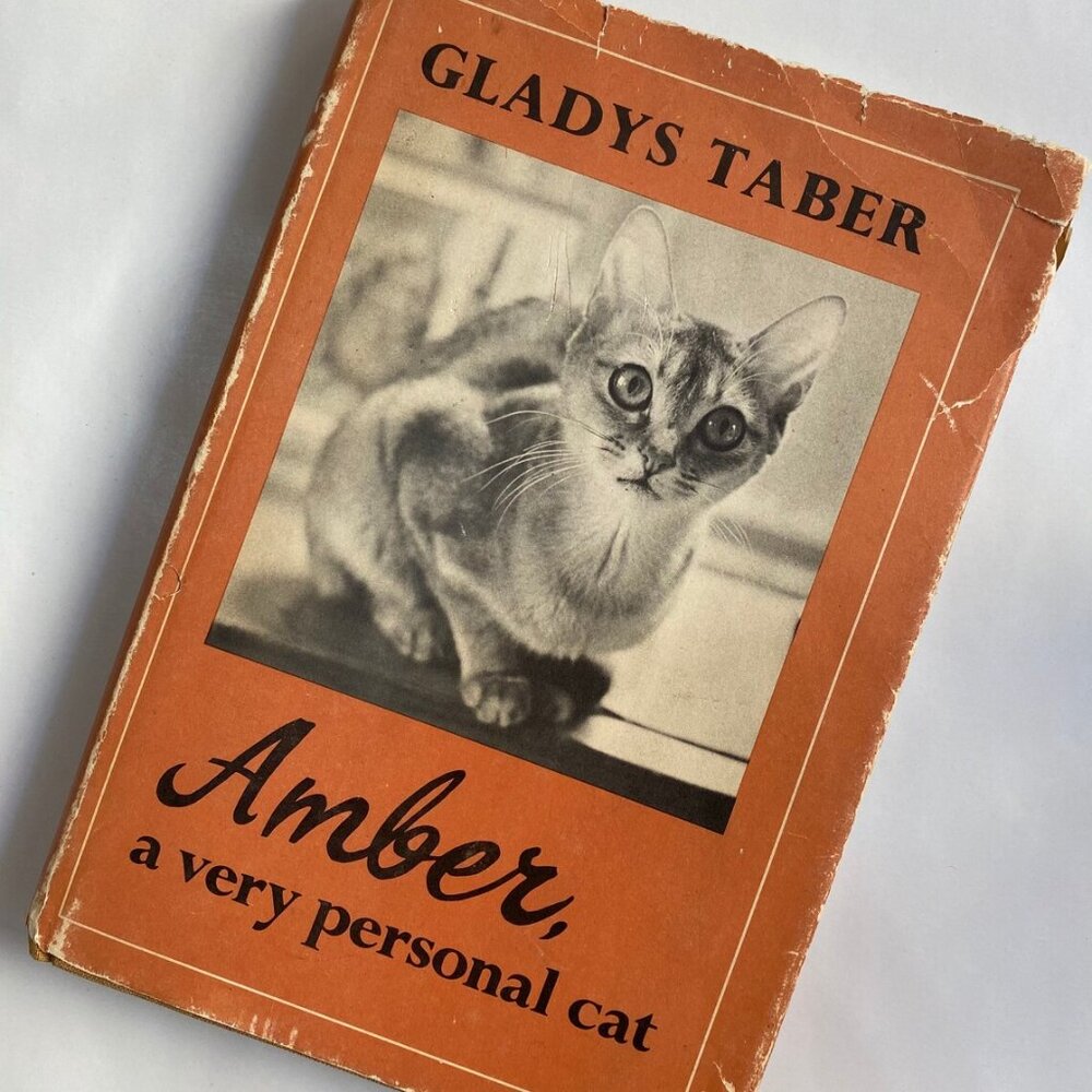 Amber, a very personal cat // 1970